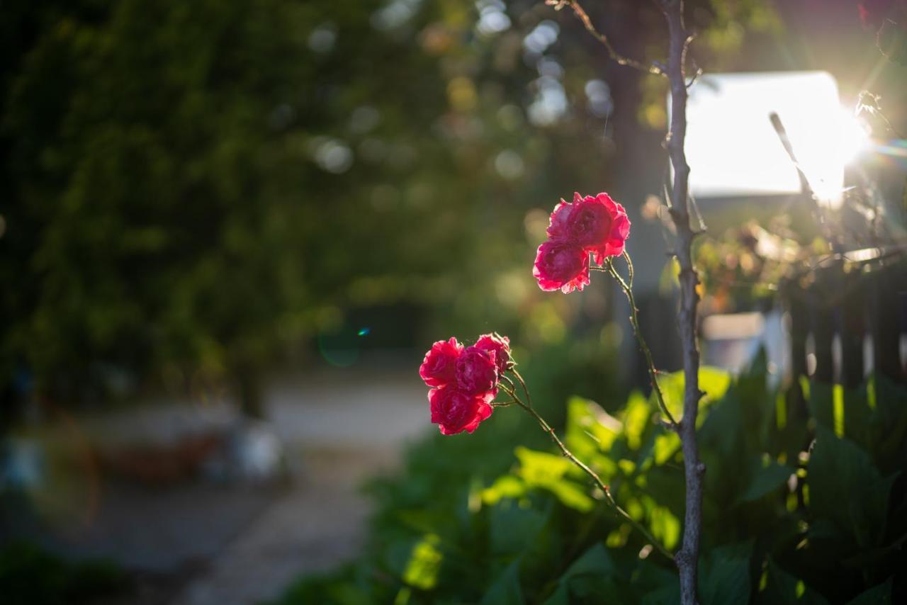 Apartament Quinta Do Sol Alijó Zewnętrze zdjęcie